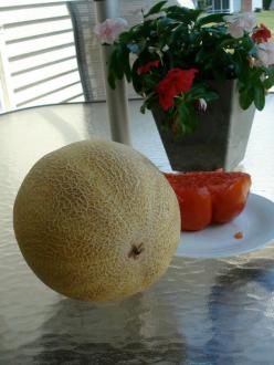 554980_4284261392532_1310958810_n