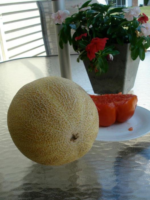 554980_4284261392532_1310958810_n