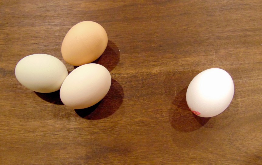 Have Eggs Been&nbsp;Redeemed?