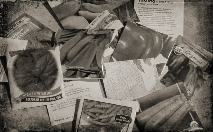 Grow Your Own Food? What Are Your Favorite Varieties to&nbsp;Grow?