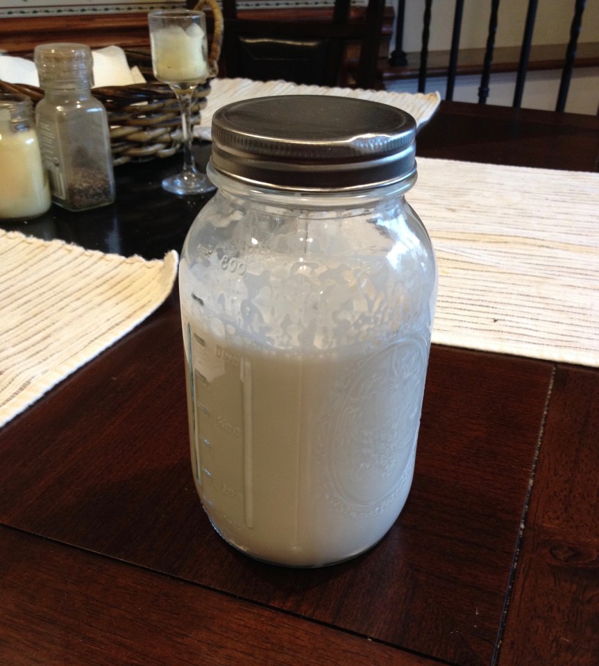 Nut / Seed Milk&nbsp;Recipe