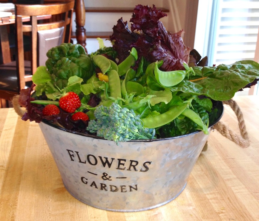 13 Terrific Reasons to Grow Your Own&nbsp;Food.