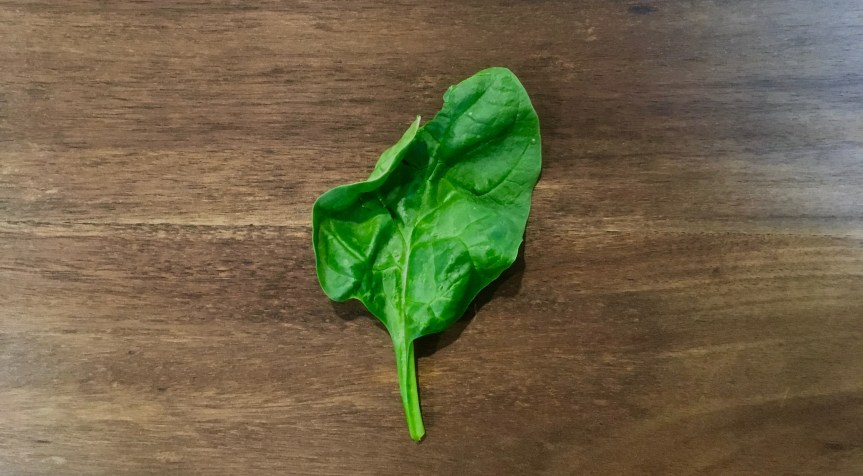 Feel Like Getting Healthy Will Be A Drag? Make It Fun&nbsp;Instead.